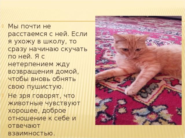 Мы почти не расстаемся с ней. Если я ухожу в школу, то сразу начинаю скучать по ней. Я с нетерпением жду возвращения домой, чтобы вновь обнять свою пушистую. Не зря говорят, что животные чувствуют хорошее, доброе отношение к себе и отвечают взаимностью. 