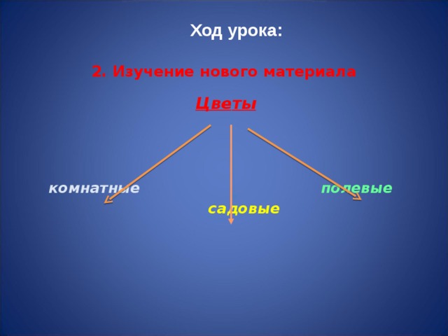 Ход урока: 2. Изучение нового материала  Цветы    комнатные  полевые   садовые 