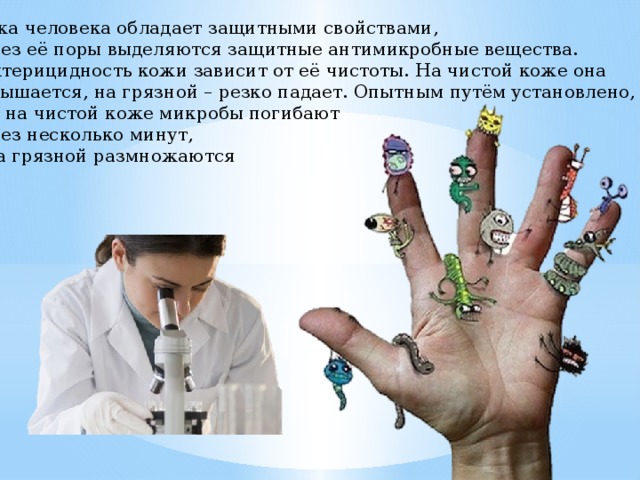 Кожа человека обладает защитными свойствами, через её поры выделяются защитные антимикробные вещества. Бактерицидность кожи зависит от её чистоты. На чистой коже она повышается, на грязной – резко падает. Опытным путём установлено, что на чистой коже микробы погибают через несколько минут, а на грязной размножаются  