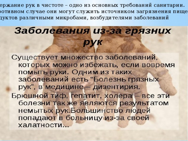 Содержание рук в чистоте – одно из основных требований санитарии. В противном случае они могут служить источником загрязнения пищевых продуктов различными микробами, возбудителями заболеваний 