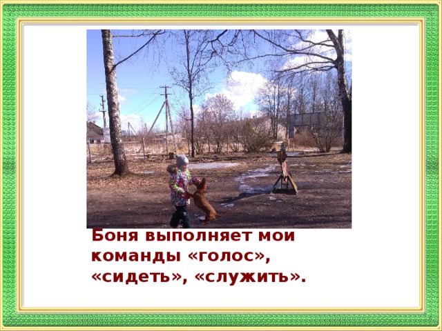 Боня выполняет мои команды «голос», «сидеть», «служить».
