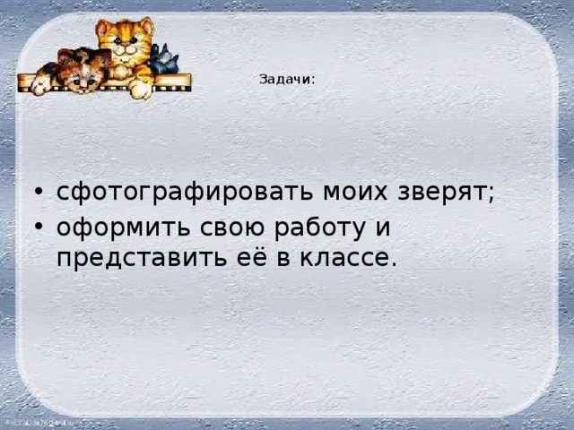 Задачи: