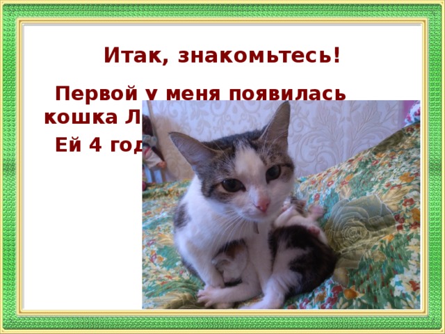 Итак, знакомьтесь!  Первой у меня появилась кошка Люся.  Ей 4 года.