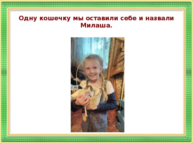 Одну кошечку мы оставили себе и назвали Милаша.