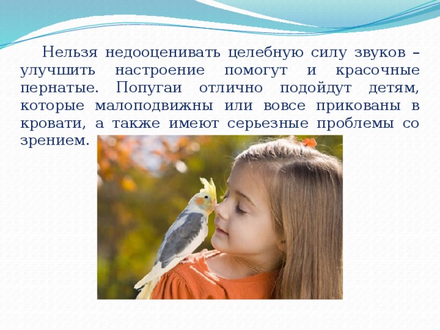 Нельзя недооценивать целебную силу звуков – улучшить настроение помогут и красочные пернатые. Попугаи отлично подойдут детям, которые малоподвижны или вовсе прикованы в кровати, а также имеют серьезные проблемы со зрением. 