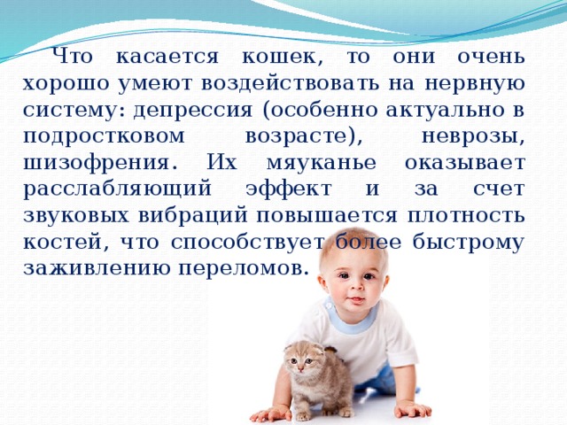 Что касается кошек, то они очень хорошо умеют воздействовать на нервную систему: депрессия (особенно актуально в подростковом возрасте), неврозы, шизофрения. Их мяуканье оказывает расслабляющий эффект и за счет звуковых вибраций повышается плотность костей, что способствует более быстрому заживлению переломов. 