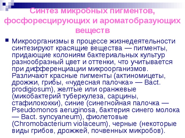 Синтез микробных пигментов, фосфоресцирующих и ароматобразующих веществ Микроорганизмы в процессе жизнедеятельности синтезируют красящие вещества — пигменты, придающие колониям бактериальных культур разнообразный цвет и оттенки, что учитывается при дифференциации микроорганизмов. Различают красные пигменты (актиномицеты, дрожжи, грибы, «чудесная палочка» — Bact. prodigiosum), желтые или оранжевые (микобактерий туберкулеза, сарцины, стафилококки), синие (синегнойная палочка — Pseudomonos aeruginosa, бактерия синего молока — Bact. syncyaneum), фиолетовые (Chromobacterium violaceum), черные (некоторые виды грибов, дрожжей, почвенных микробов). 