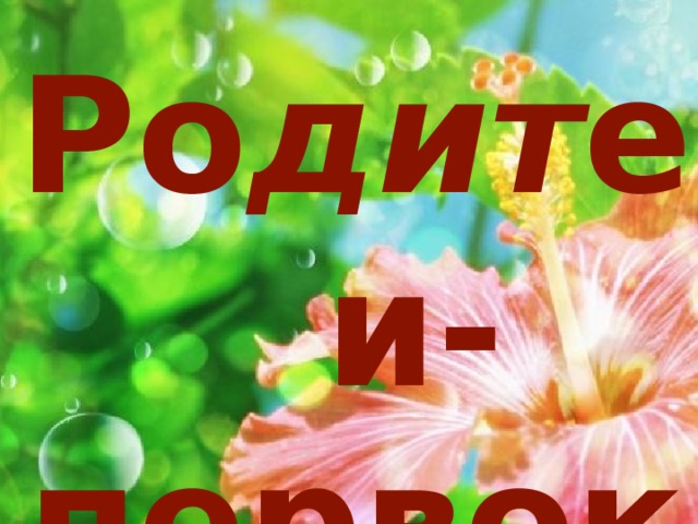 Ро дит ели-первоклашки 