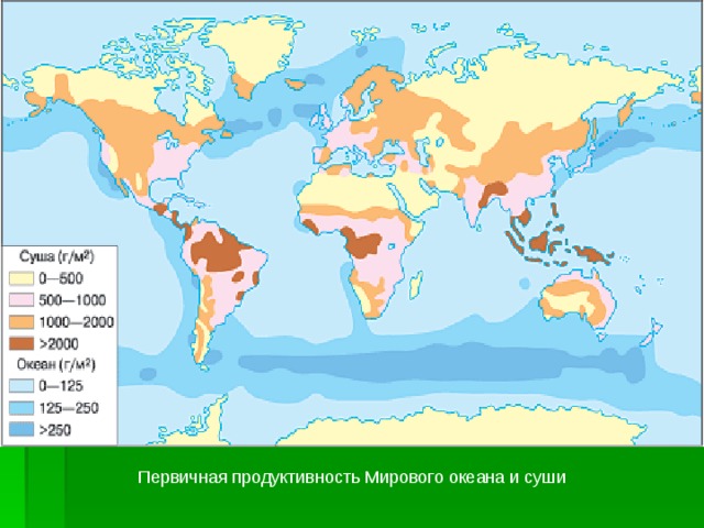 Первичная продуктивность Мирового океана и суши