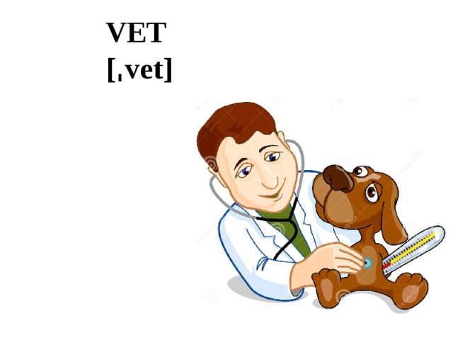 VET  [ˌvet] 
