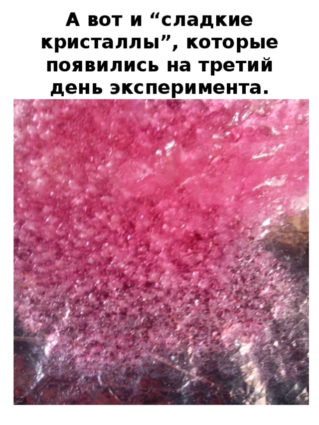 А вот и “сладкие кристаллы”, которые появились на третий день эксперимента. 