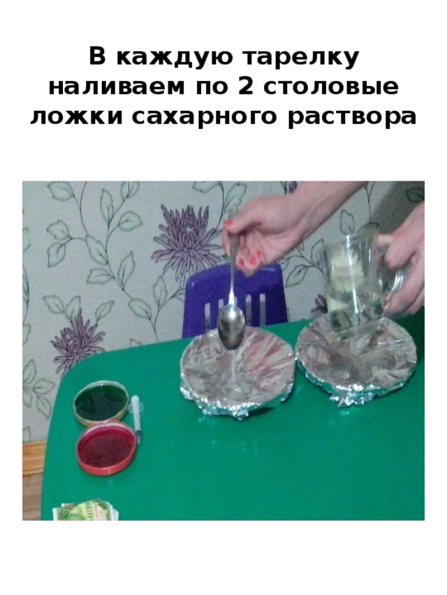 В каждую тарелку наливаем по 2 столовые ложки сахарного раствора 
