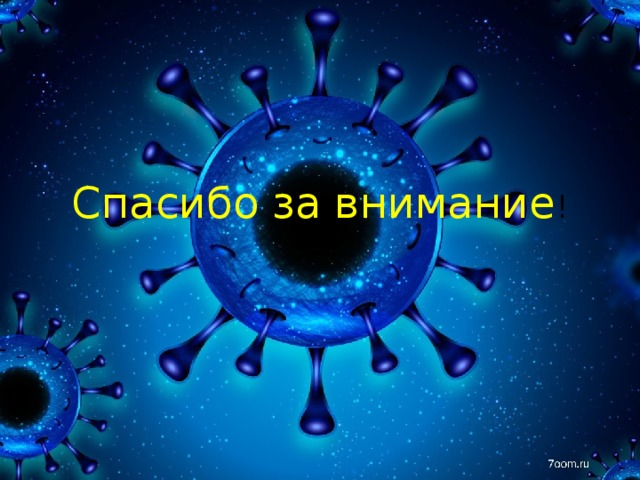 Спасибо за внимание ! 