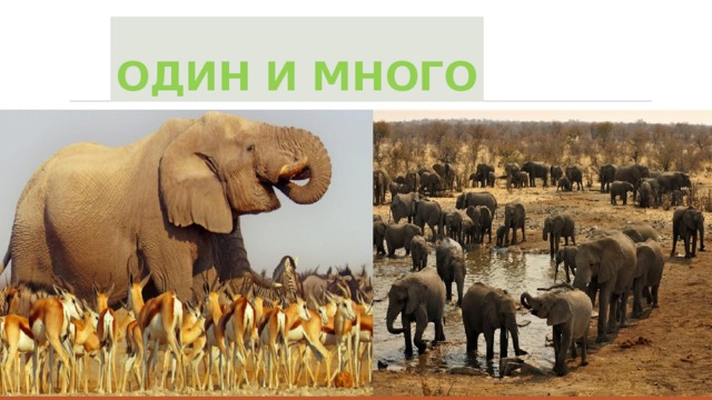 ОДИН И МНОГО 