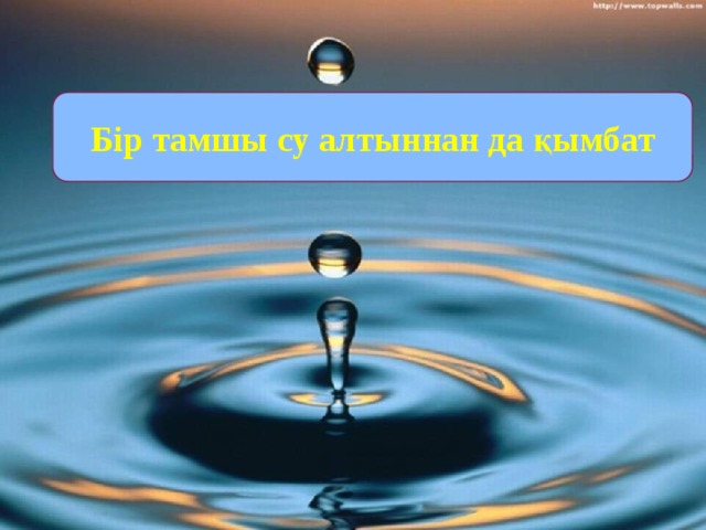Бір тамшы су алтыннан да қымбат 