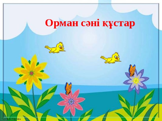 Орман сәні құстар 