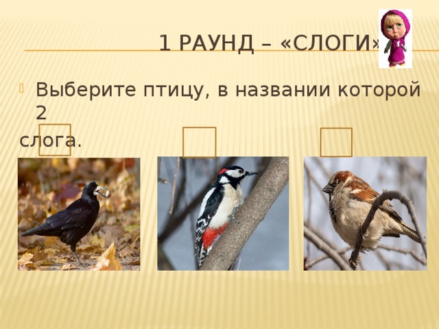  1 раунд – «Слоги» Выберите птицу, в названии которой 2 слога.  1 2 3 