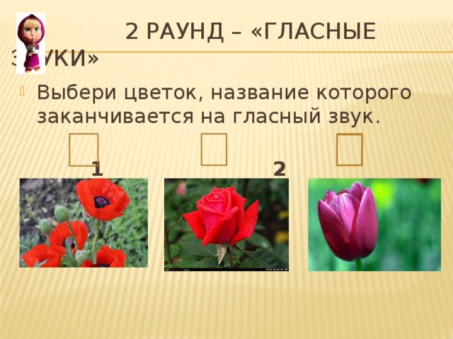  2 раунд – «гласные звуки» Выбери цветок, название которого заканчивается на гласный звук.  1 2 3 