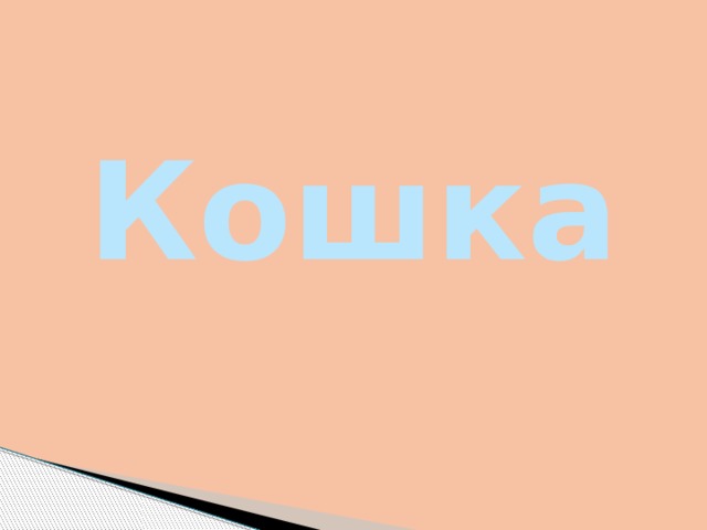 Кошка 