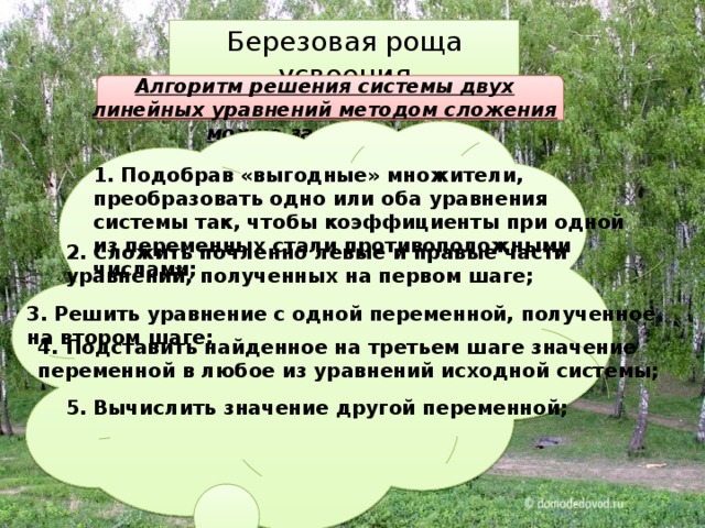 Березовая роща усвоения Алгоритм решения системы двух линейных уравнений методом сложения можно записать так: 1. Подобрав «выгодные» множители, преобразовать одно или оба уравнения системы так, чтобы коэффициенты при одной из переменных стали противоположными числами; 2. Сложить почленно левые и правые части уравнений, полученных на первом шаге; 3. Решить уравнение с одной переменной, полученное на втором шаге; 4. Подставить найденное на третьем шаге значение переменной в любое из уравнений исходной системы; 5. Вычислить значение другой переменной; 