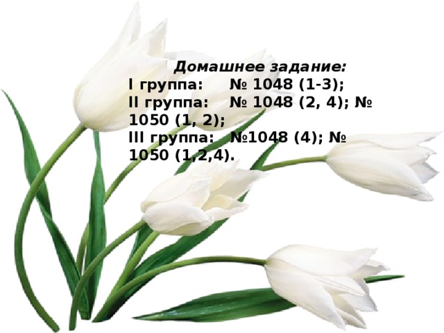 Домашнее задание: I группа: № 1048 (1-3); II группа: № 1048 (2, 4); № 1050 (1, 2); III группа: №1048 (4); № 1050 (1,2,4).  