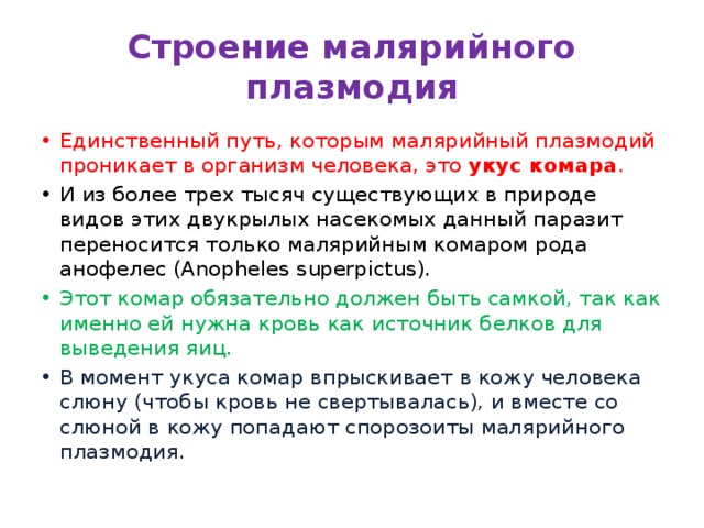 Строение малярийного плазмодия Единственный путь, которым малярийный плазмодий проникает в организм человека, это укус комара . И из более трех тысяч существующих в природе видов этих двукрылых насекомых данный паразит переносится только малярийным комаром рода анофелес (Anopheles superpictus). Этот комар обязательно должен быть самкой, так как именно ей нужна кровь как источник белков для выведения яиц. В момент укуса комар впрыскивает в кожу человека слюну (чтобы кровь не свертывалась), и вместе со слюной в кожу попадают спорозоиты малярийного плазмодия. 