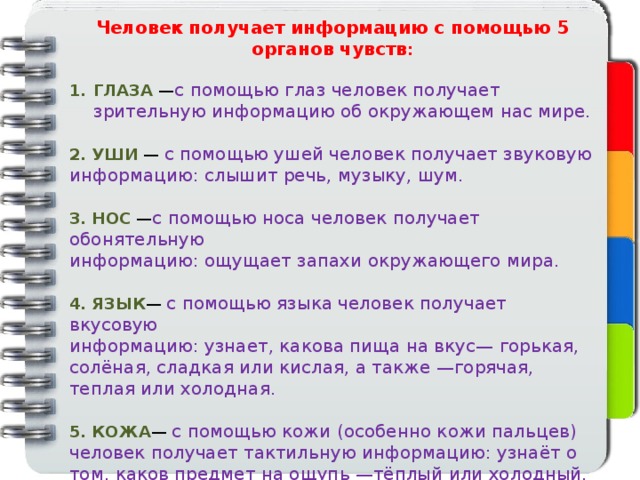 Человек получает информацию с помощью 5 органов чувств :  ГЛАЗА — с помощью глаз человек получает зрительную информацию об окружающем нас мире. 2. УШИ — с помощью ушей человек получает звуковую информацию: слышит речь, музыку, шум. 3. НОС — с помощью носа человек получает обонятельную информацию: ощущает запахи окружающего мира. 4. ЯЗЫК — с помощью языка человек получает вкусовую информацию: узнает, какова пища на вкус— горькая, солёная, сладкая или кислая, а также —горячая, теплая или холодная. 5. КОЖА — с помощью кожи (особенно кожи пальцев) человек получает тактильную информацию: узнаёт о том, каков предмет на ощупь —тёплый или холодный, гладкий или шершавый, мягкий или твёрдый. Даже с закрытыми глазами или в темноте на ощупь можно получить информацию о размерах и форме предмета. 