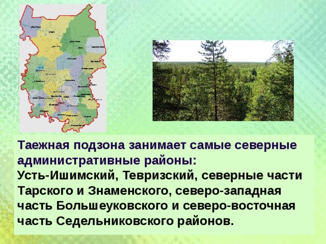 Таежная подзона занимает самые северные  административные районы:   Усть-Ишимский, Тевризский, северные части Тарского и Знаменского, северо-западная часть Большеуковского и северо-восточная часть Седельниковского районов.  