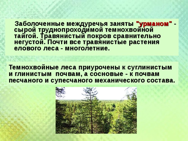  Заболоченные междуречья заняты 