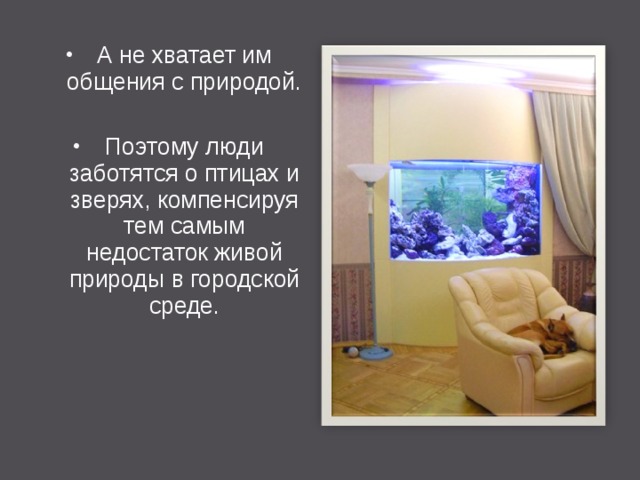 А не хватает им общения с природой. Поэтому люди заботятся о птицах и зверях, компенсируя тем самым недостаток живой природы в городской среде. 