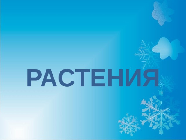 РАСТЕНИЯ 