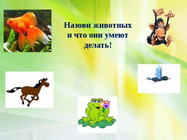 Назови животных и что они умеют делать!  