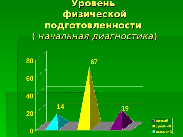 Уровень  физической подготовленности  ( начальная диагностика ) 