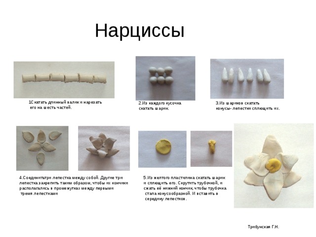 Нарциссы 1Скатать длинный валик и нарезать  его на шесть частей. 3.Из шариков скатать конусы- лепестки сплющить их. 2.Из каждого кусочка скатать шарик. 4.Соединитьтри лепестка между собой. Другие три лепестка закрепить таким образом, чтобы их кончики располагались в промежутках между первыми  тремя лепестками 5.Из желтого пластилина скатать шарик и сплющить его. Скрутить трубочкой, и сжать её нижний кончик, чтобы трубочка  стала конусообразной. И вставить в  середину лепестков. Трибунская Г.Н. 
