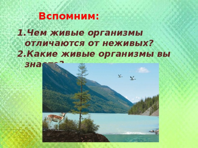 Вспомним: Чем живые организмы отличаются от неживых? Какие живые организмы вы знаете? 