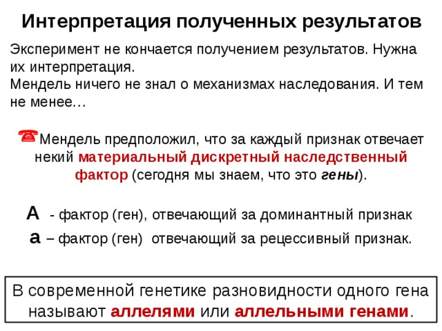 Интерпретация полученных результатов Эксперимент не кончается получением результатов. Нужна их интерпретация. Мендель ничего не знал о механизмах наследования. И тем не менее… Мендель предположил, что за каждый признак отвечает некий материальный дискретный наследственный фактор  (сегодня мы знаем, что это гены ). А  - фактор (ген), отвечающий за доминантный признак а – фактор (ген) отвечающий за рецессивный признак. В современной генетике разновидности одного гена называют аллелями  или аллельными генами . 