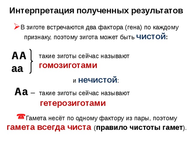 Интерпретация полученных результатов В зиготе встречаются два фактора (гена) по каждому признаку, поэтому зигота может быть чистой :  АА аа и нечистой :  Аа  – такие зиготы сейчас называют  гетерозиготами такие зиготы сейчас называют гомозиготами Гамета несёт по одному фактору из пары, поэтому гамета всегда чиста ( правило чистоты гамет ). 