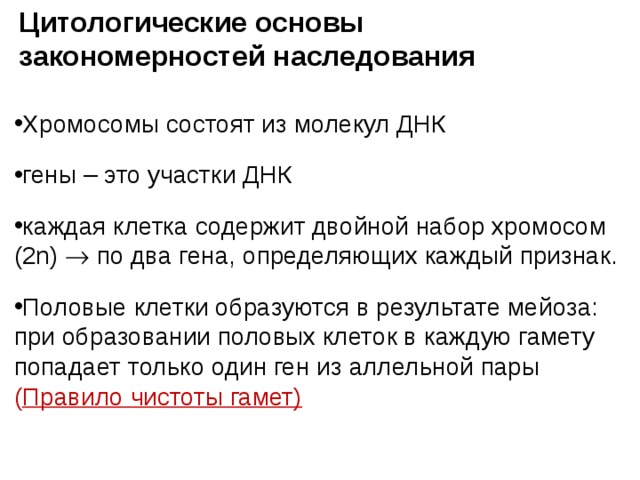 Цитологические основы закономерностей наследования Хромосомы состоят из молекул ДНК гены – это участки ДНК каждая клетка содержит двойной набор хромосом (2n)  по два гена, определяющих каждый признак. Половые клетки образуются в результате мейоза: при образовании половых клеток в каждую гамету попадает только один ген из аллельной пары ( Правило чистоты гамет) 