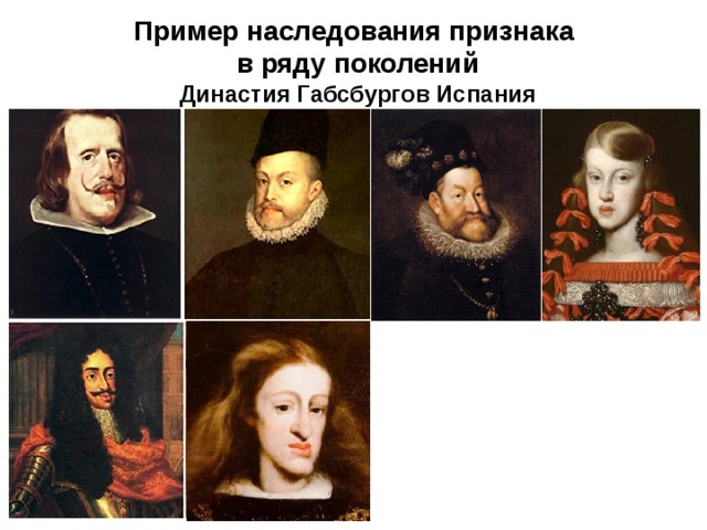 Пример наследования признака в ряду поколений Династия Габсбургов Испания 