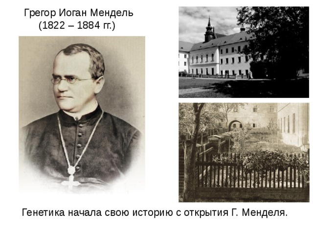 Грегор Иоган Мендель  (1822 – 1884 гг.) Генетика начала свою историю с открытия Г. Менделя. 