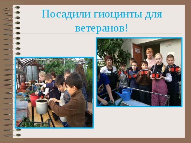 Посадили гиоцинты для ветеранов! 