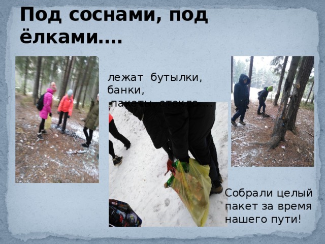 Под соснами, под ёлками…. лежат бутылки, банки,  пакеты, стекло…. Собрали целый пакет за время нашего пути! 