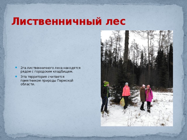 Лиственничный лес 2га лиственничного леса находятся рядом с городским кладбищем. Эта территория считается памятником природы Пермской области. 