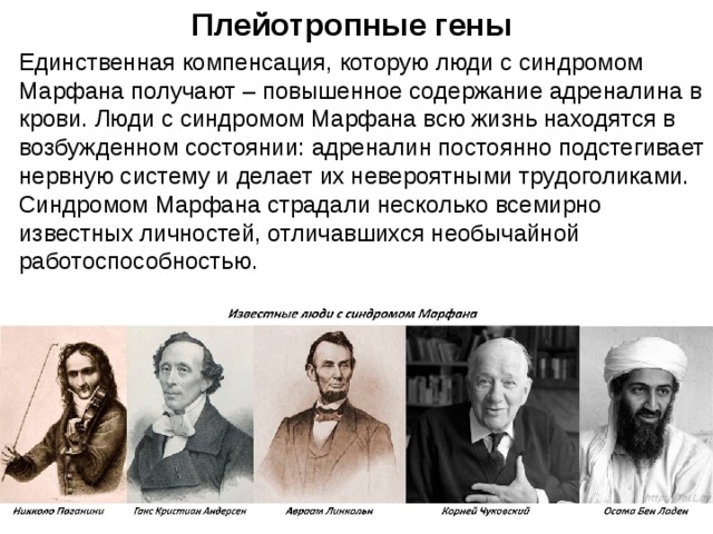 Плейотропные гены Единственная компенсация, которую люди с синдромом Марфана получают – повышенное содержание адреналина в крови. Люди с синдромом Марфана всю жизнь находятся в возбужденном состоянии: адреналин постоянно подстегивает нервную систему и делает их невероятными трудоголиками.  Синдромом Марфана страдали несколько всемирно известных личностей, отличавшихся необычайной работоспособностью. 