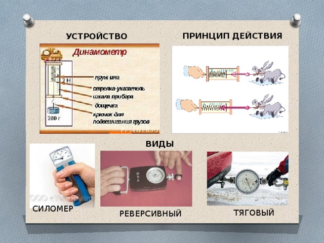 Повторим! 5. Летящий мяч ударяется о стену. Покажите силы упругости, действующие со стороны мяча на стену и со стороны стены, действующую на мяч.     