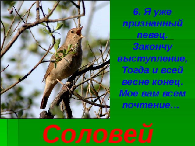 6. Я уже признанный певец. Закончу выступление, Тогда и всей весне конец. Мое вам всем почтение… Соловей 