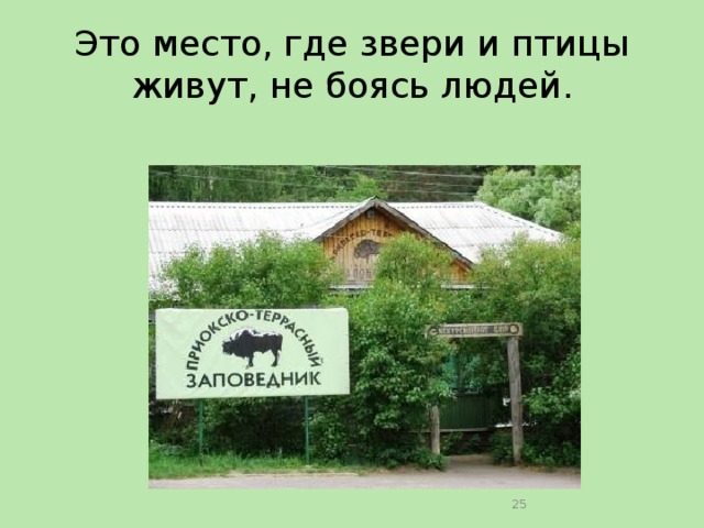 Это место, где звери и птицы живут, не боясь людей.  