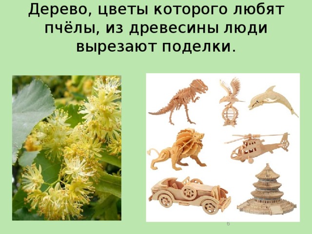 Дерево, цветы которого любят пчёлы, из древесины люди вырезают поделки.  