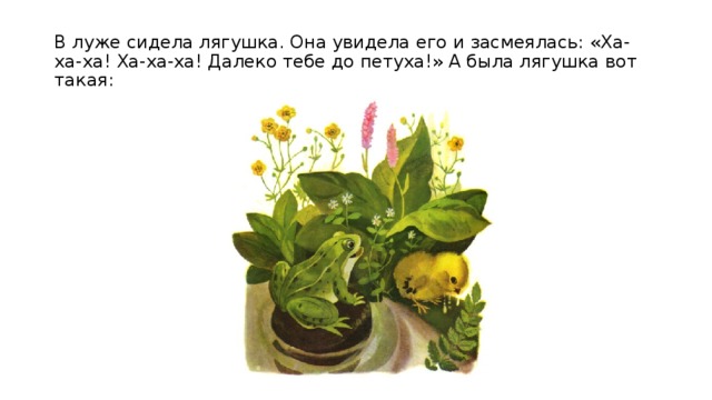В луже сидела лягушка. Она увидела его и засмеялась: «Ха-ха-ха! Ха-ха-ха! Далеко тебе до петуха!» А была лягушка вот такая: 