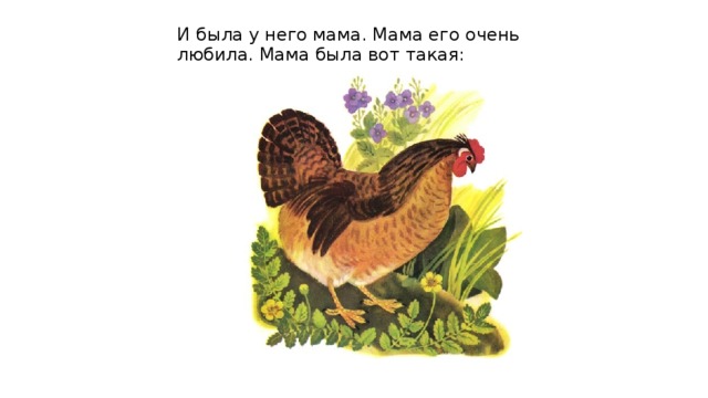 И была у него мама. Мама его очень любила. Мама была вот такая: 